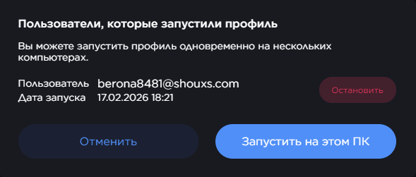 Мультизапуск